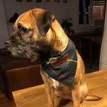 Harriette Louise Kirk-Bowering - @harriettelouisekirkbowering - Instagram