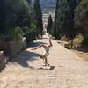 Harriet.buckby - @harrietbuckby - TikTok
