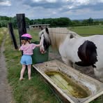 Harriet Rose Chaplin - Facebook