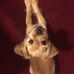 Harriet Clement - Facebook