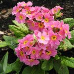 Harriet Coates - @harrietcoates73 - Instagram
