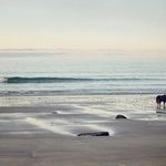 Harriet Cooper - @cool.one.pablersss.pobe - Instagram