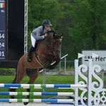 Harriet Cooper Sport Horses - @harrietcoopersporthorses - Instagram