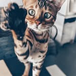 Harriette Cottrell - @harriette_cottrellago7 - Instagram