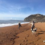 Harriet Cunningham - @harrietmcunningham - Instagram