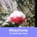 Harriett Douglas - Facebook