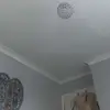 harriett doyle - @harriett.doyle - TikTok