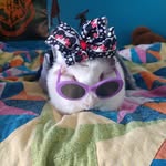 Harriet Ellison - @harriet_friends - Instagram