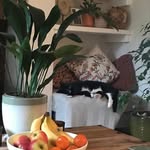 Harriet Goodman - @hamcat1986 - Instagram