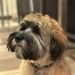 Harriet Goodman - @harriet_goodman1 - Instagram