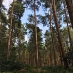 Harriet Goodman - @harri.g.123 - Instagram