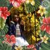 Harriet Henry - Facebook