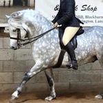 Harriet Hunter - @harriet_hunter_horses - Instagram