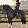 Harriet Hunter - @harriethunter18 - TikTok