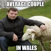 support a welsh team harry - @gloryhunterharriet - TikTok