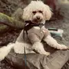user1717250666564 - @harriet_hunter18 - TikTok