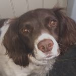 Harriet Hurst - @harriethurst2012 - Instagram
