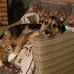 Harriet Jack - Facebook