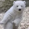 Harriet St John - @harriet.st.john6 - TikTok