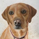H. Joyce Paintings - @harrietjoyce_art - Instagram