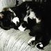Harriet Kramer - Facebook