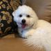 Harriet Levine - Facebook