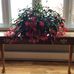 Harriett Maloney - Facebook