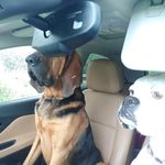 Harriett Carolin Masters - @harriettcarolinmasters - Instagram