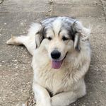 Harriette Rose Masters - @harrietterosemasters - Instagram