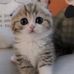 Harriet May - Facebook