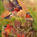 Harriet Mcclain - Facebook