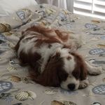 Harriet North - @firefly1947 - Instagram