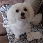 Harriet Northup - @northupharriet - Instagram