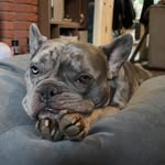 Harriett Oakley - @hazoakley - Instagram