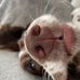 Harriet Page - Facebook
