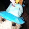 Harriet Parkie - @harriet.parkie0 - TikTok