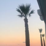 Harriet Pollock - @harr.iet6203 - Instagram