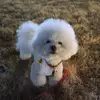 harrietporter35995 - @harrietporter35995 - TikTok