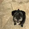 Hart Redfern - @hart.redfern - TikTok