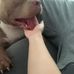 Harriet Rockefeller - Facebook