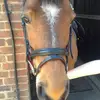 Harriet - @harrietspencer2006 - TikTok