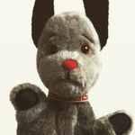 Harriet Spence - @spenceharriet - Instagram