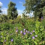 Harriet Sutton - @harrietsutton261 - Instagram