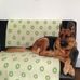 Harriet Vogt - Facebook