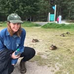 🐢🐢🐢🐢 - @harrietwagner - Instagram