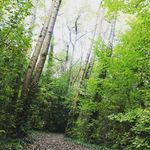 Harriet Sargent-Walton - @harrietsargentwalton_photos1 - Instagram