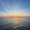 harriet - @harriet.washington - TikTok