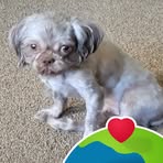 Harriett Weber - Facebook