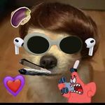Harriet - @harriet_wolfers - Instagram