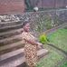 Harriet Dickson - Facebook